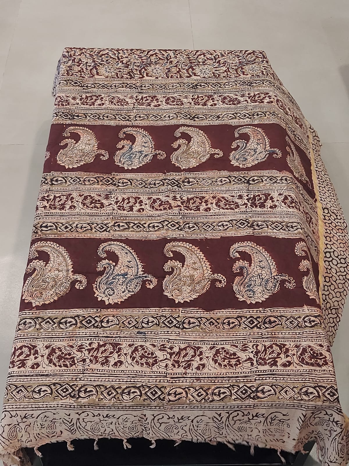 Kalamkari Nellori Silk Saaree with gold stripe